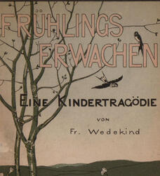 Despertar de Primavera (Para Nunca Jamás Teatro)